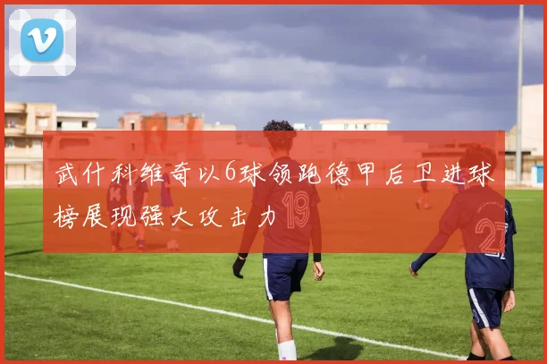 武什科维奇以6球领跑德甲后卫进球榜展现强大攻击力
