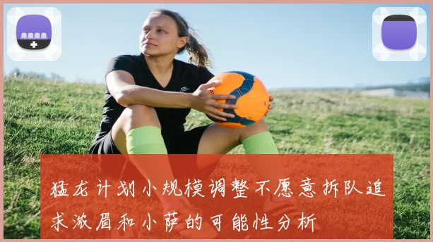 猛龙计划小规模调整不愿意拆队追求浓眉和小萨的可能性分析
